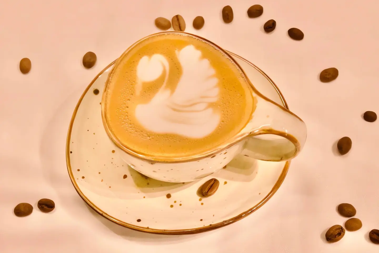 Cappuccino With Paradigm Cookies