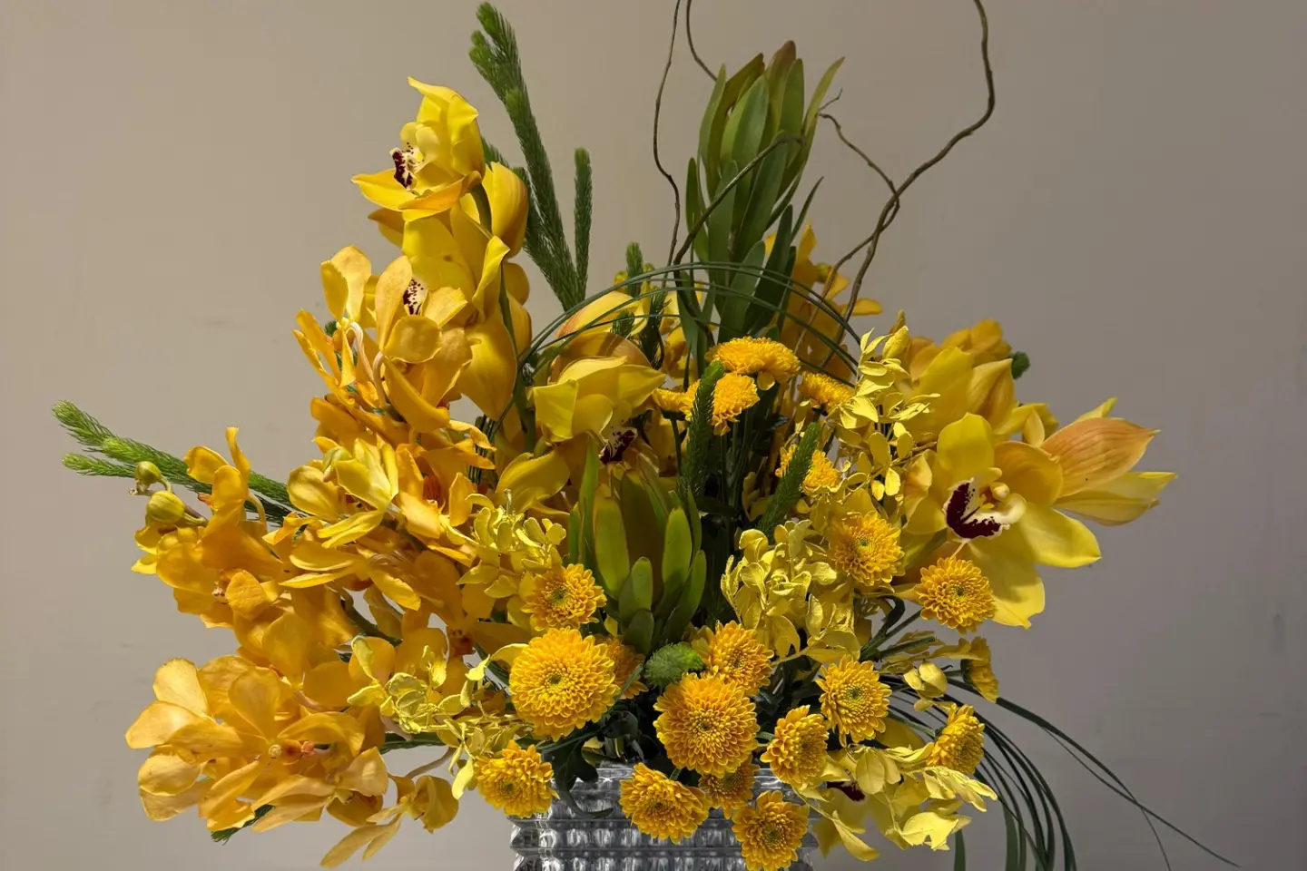 باقة أشعة الشمس