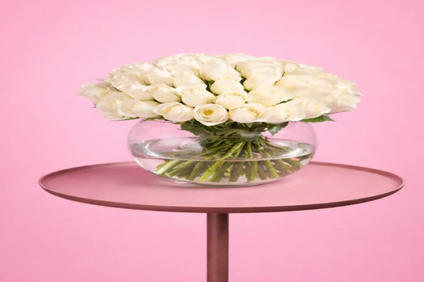 فازة صفاء الورد الابيض