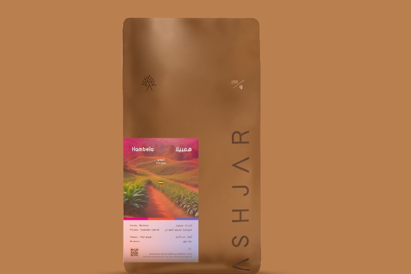همبيلا إثيوبيا