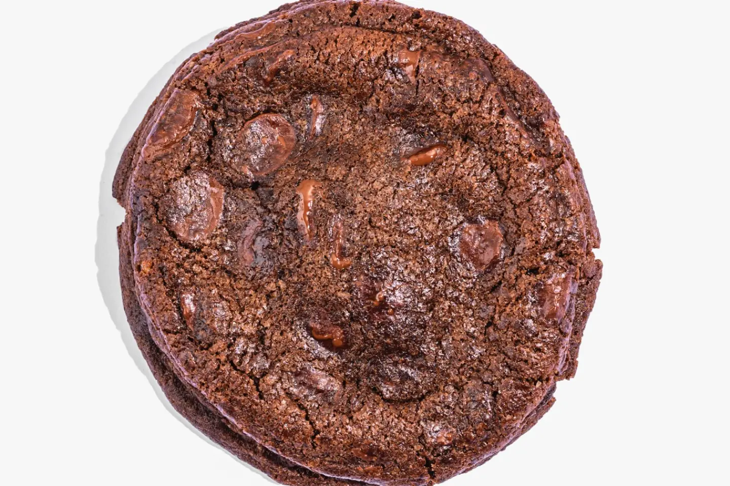Double Chocolate Cookie