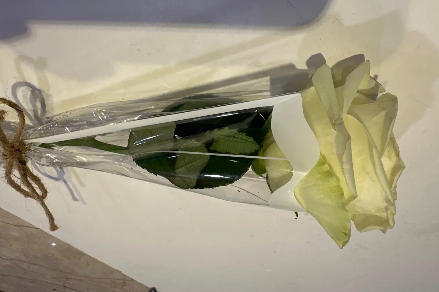 وردة جوري ابيض