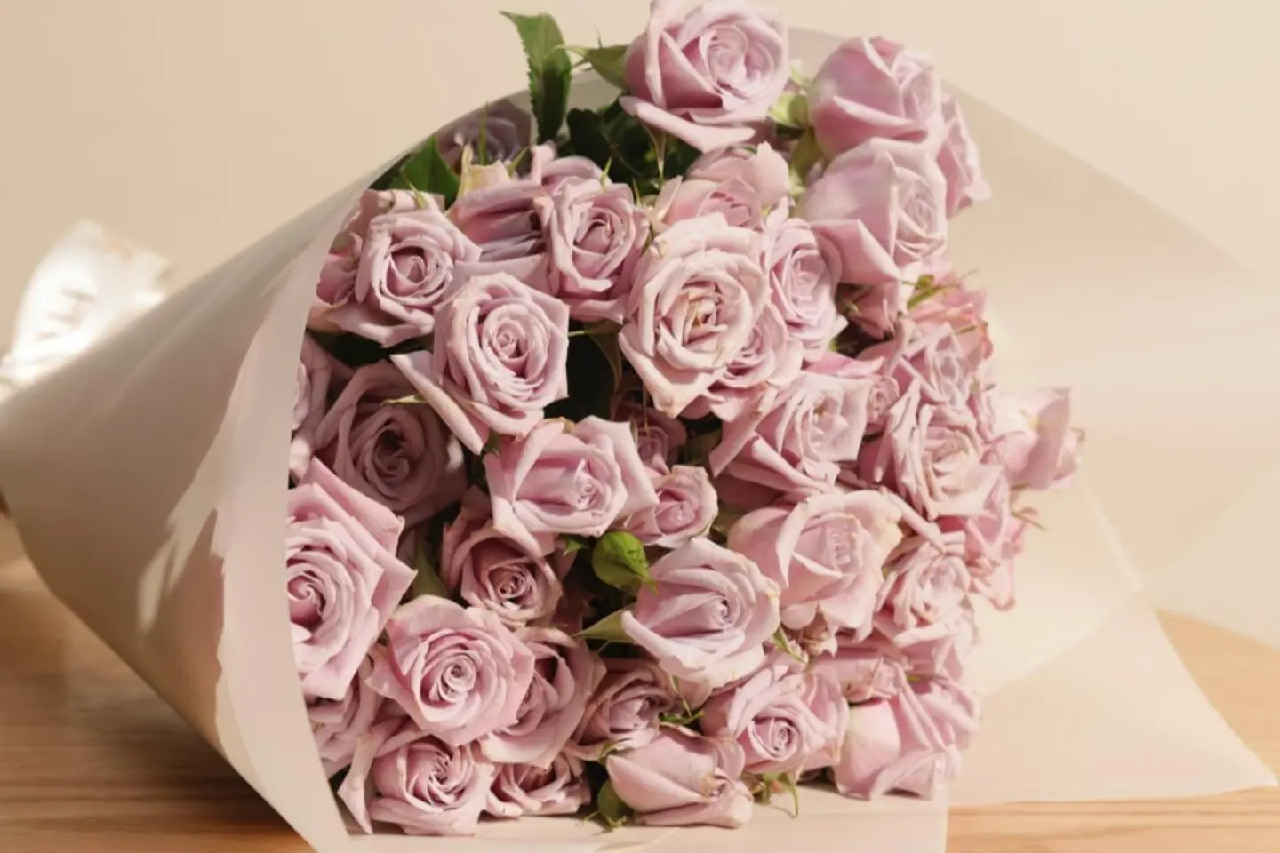 بيبي جوري موف