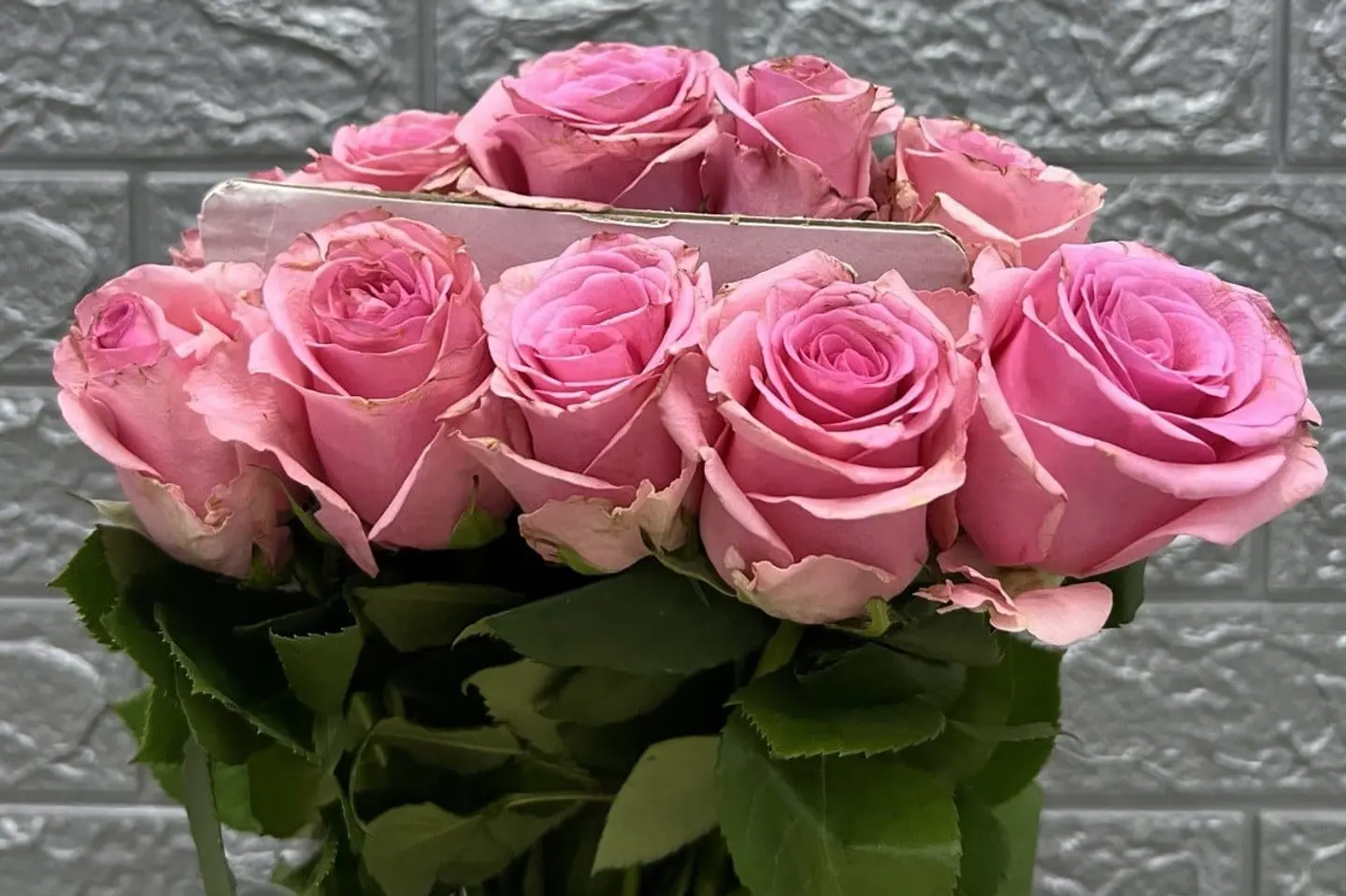 وردة و شتلة ٠٠٠٦٠