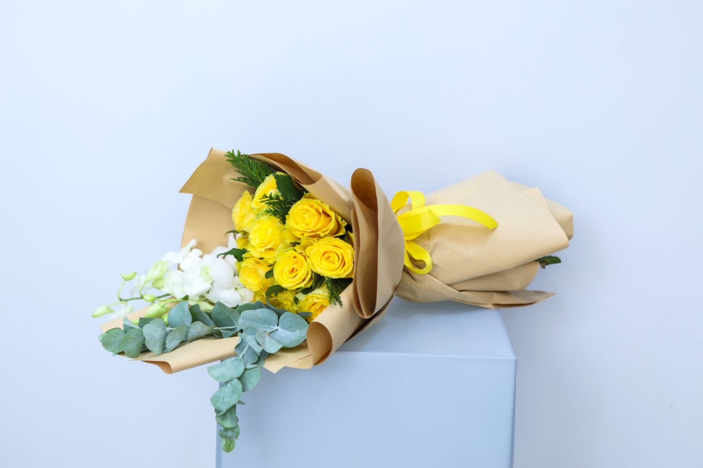 Yellow Rose