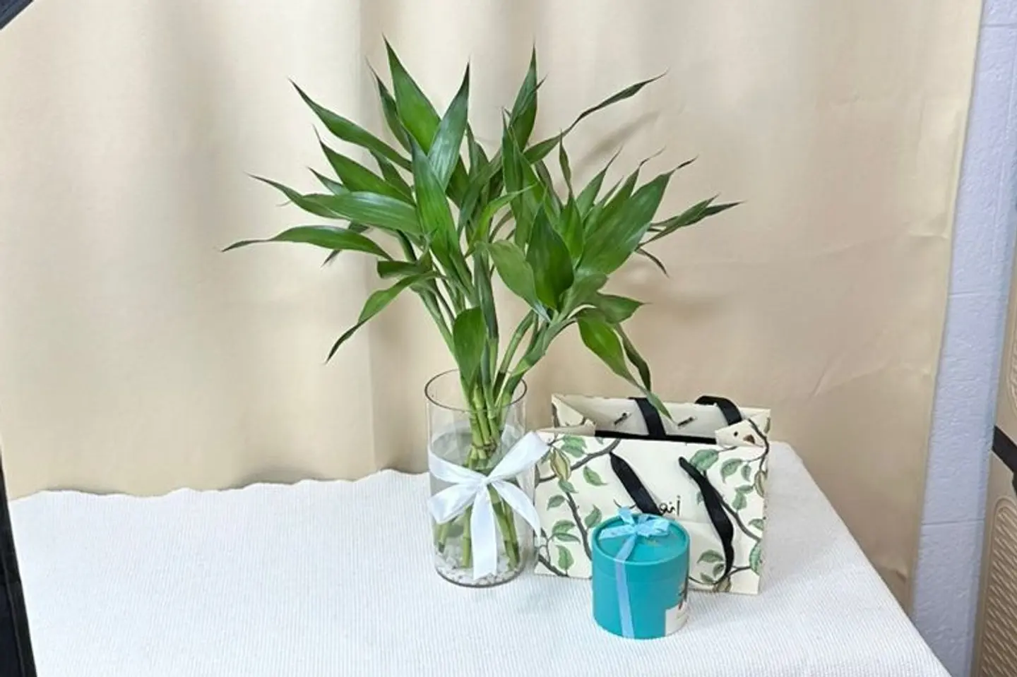 فازة بامبو انوش