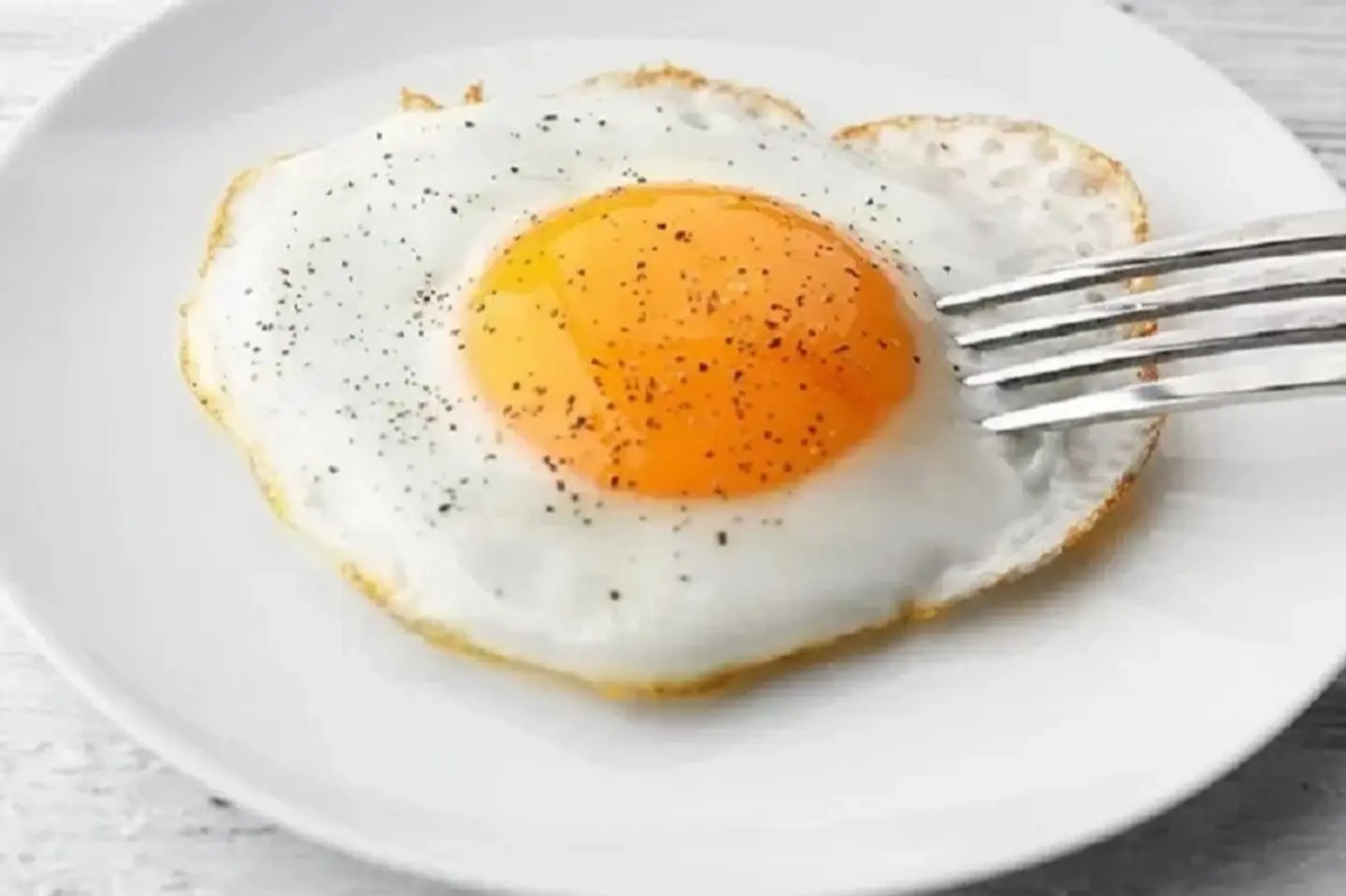 One Fried Egg