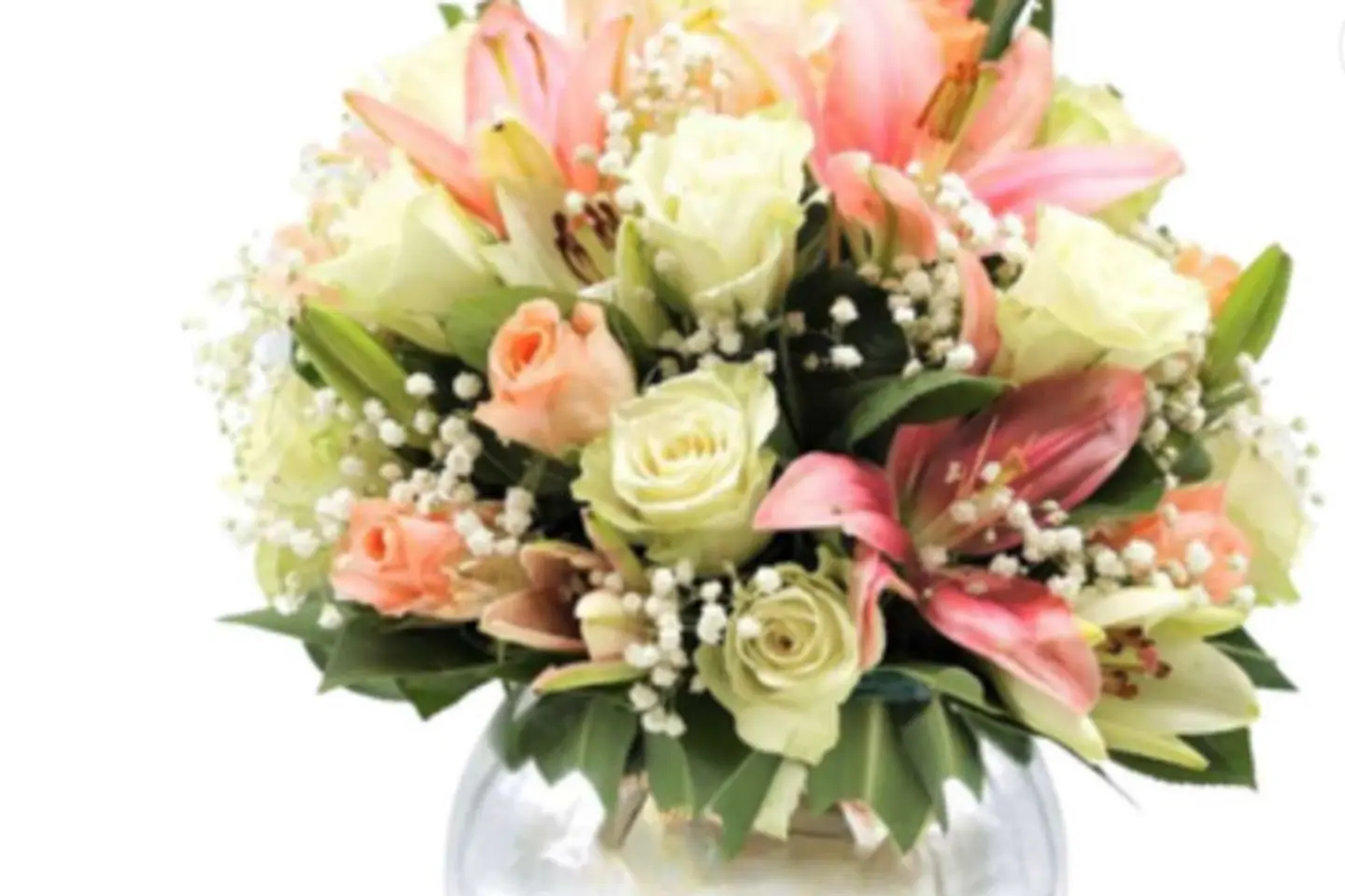 فازة المناسبات