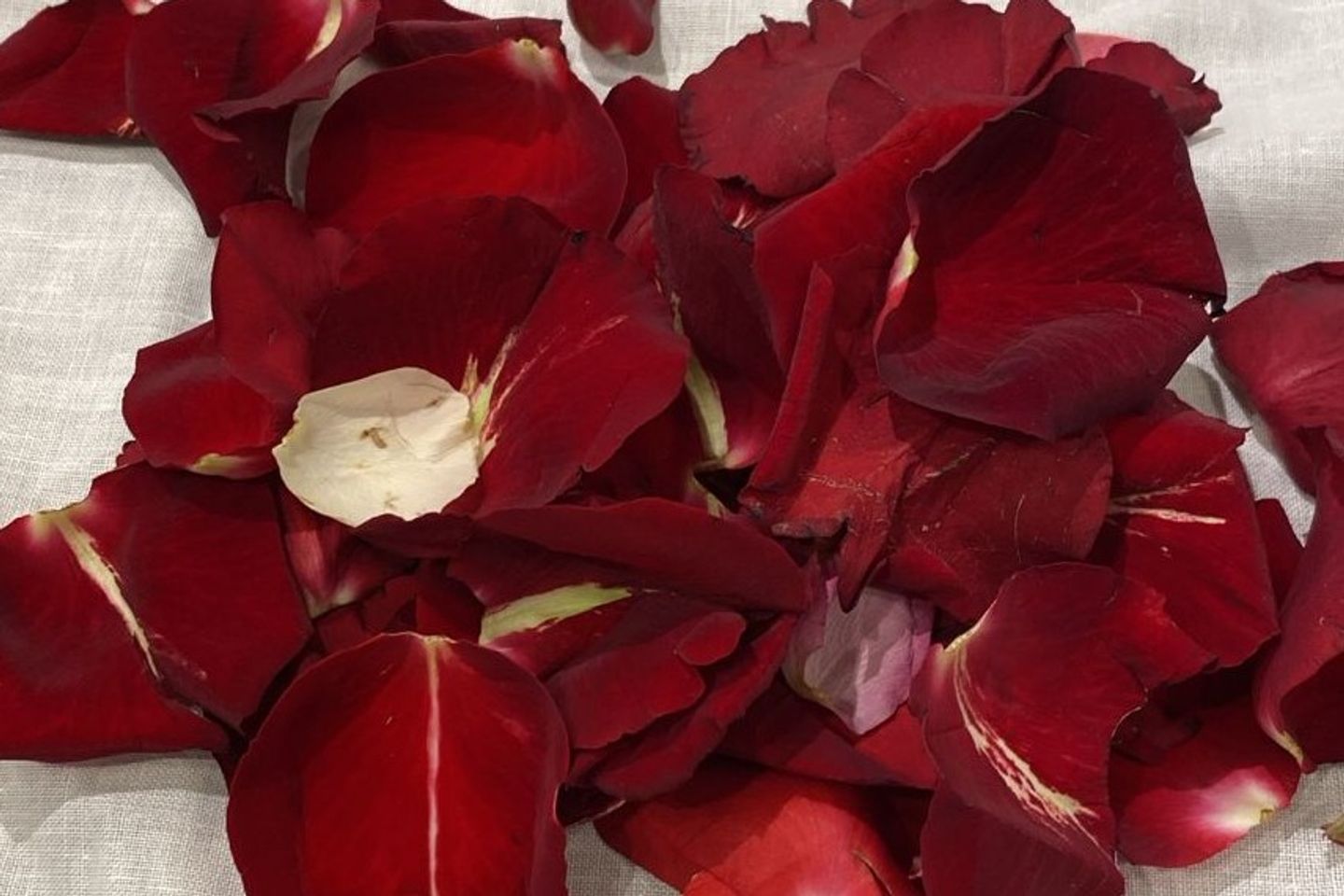 Petals