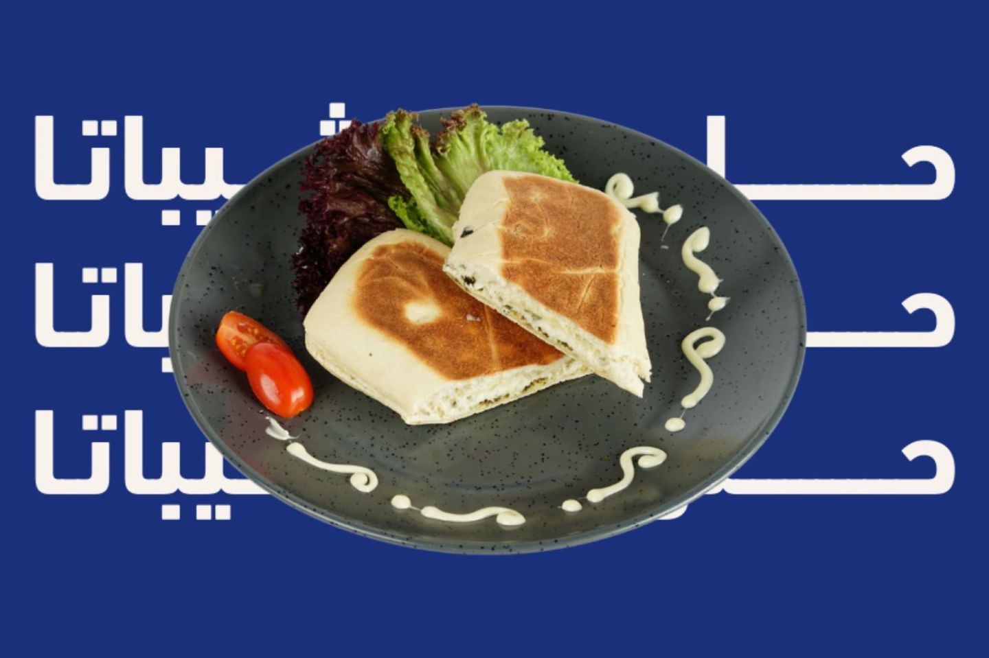 ساندوتش شاباتا حلومي