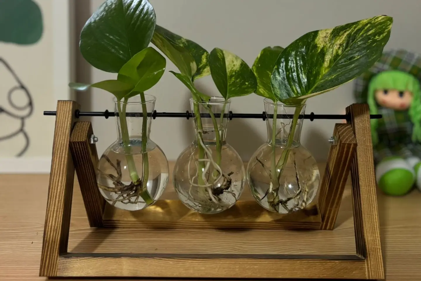 فازة خشبية بقاعدة عصرية مع نبتة البوتس ث