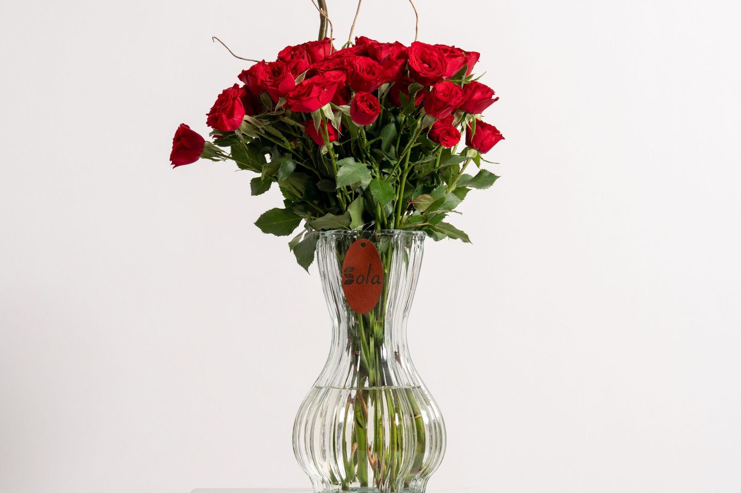 Vase Of Beauty