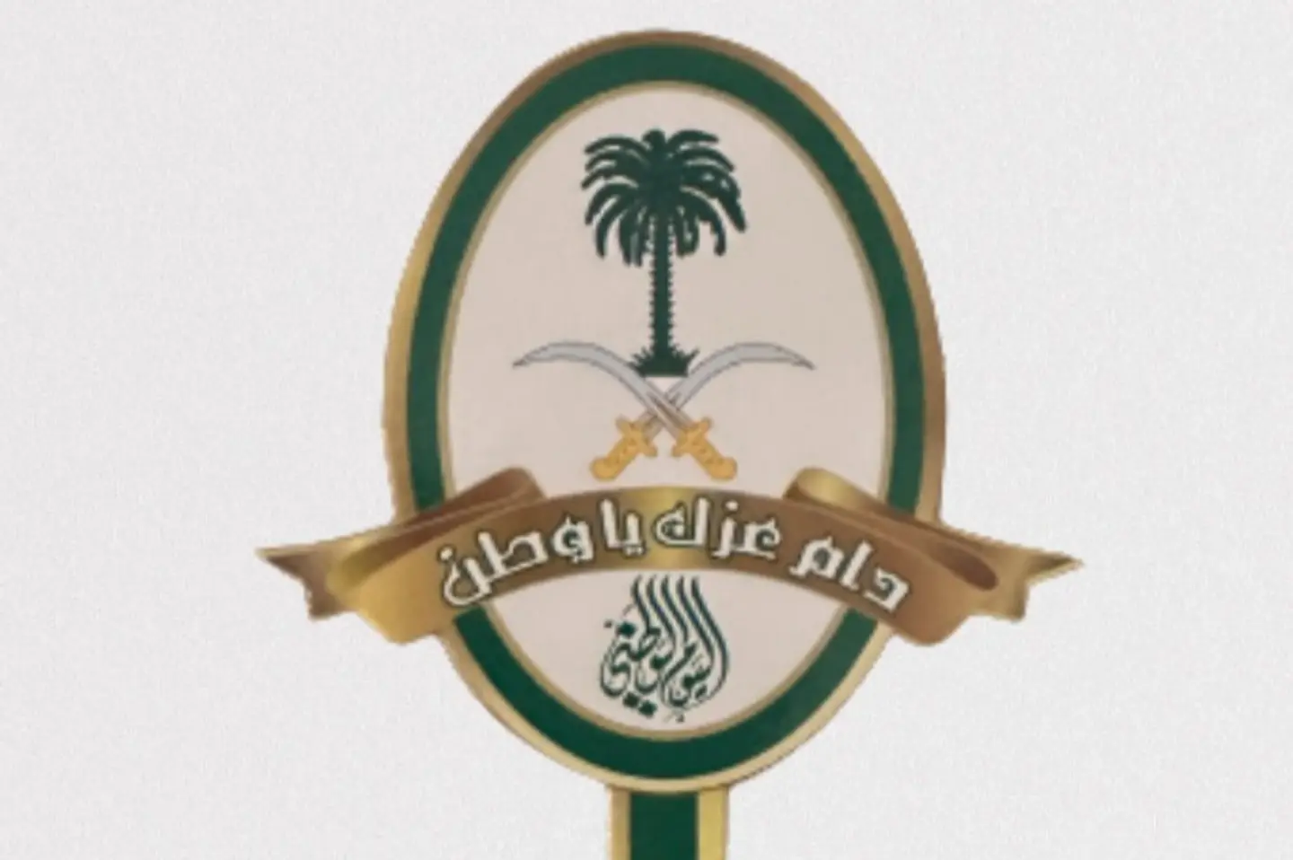 ميني تغريسة كرتونية ١