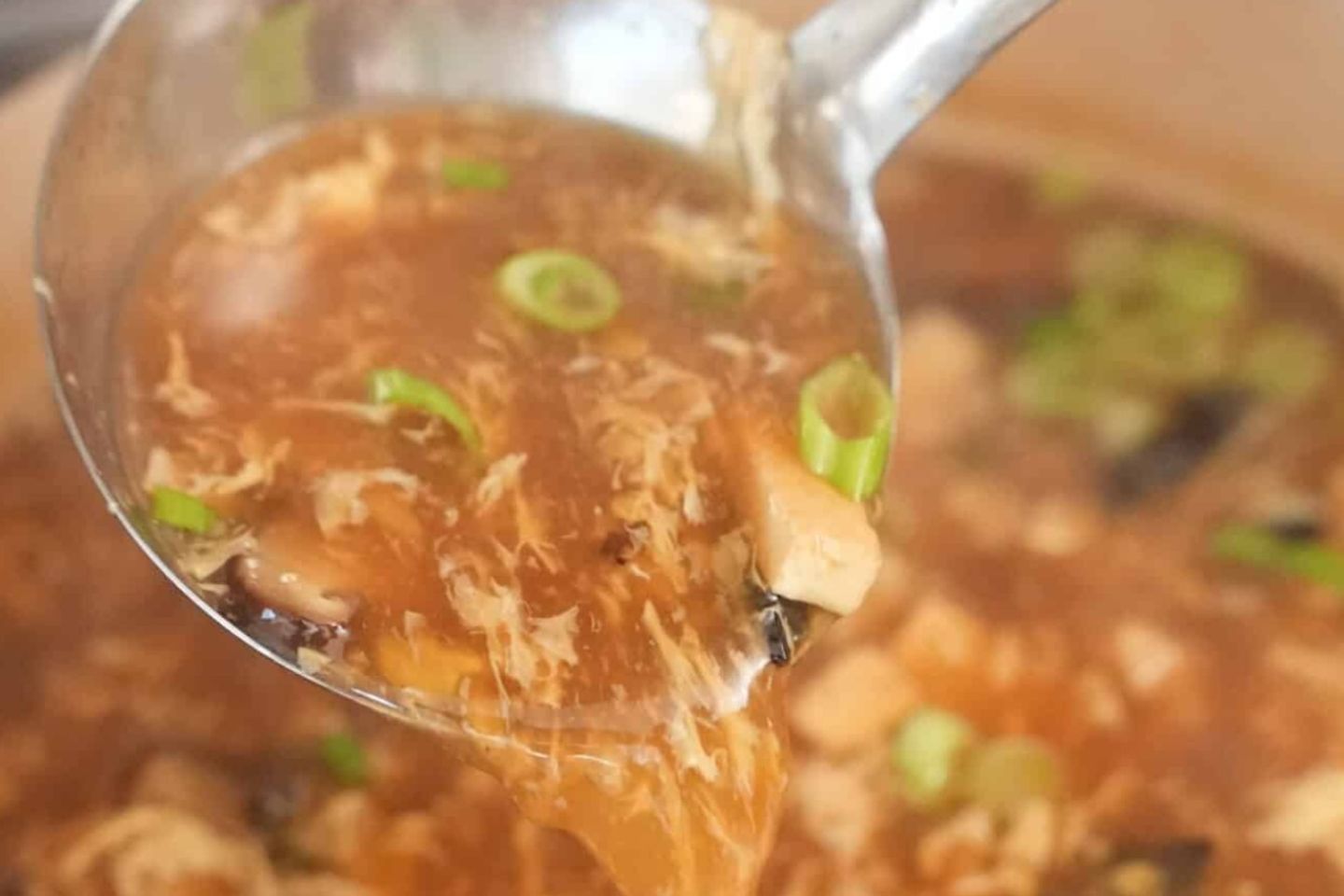 Hot N Sour Soup
