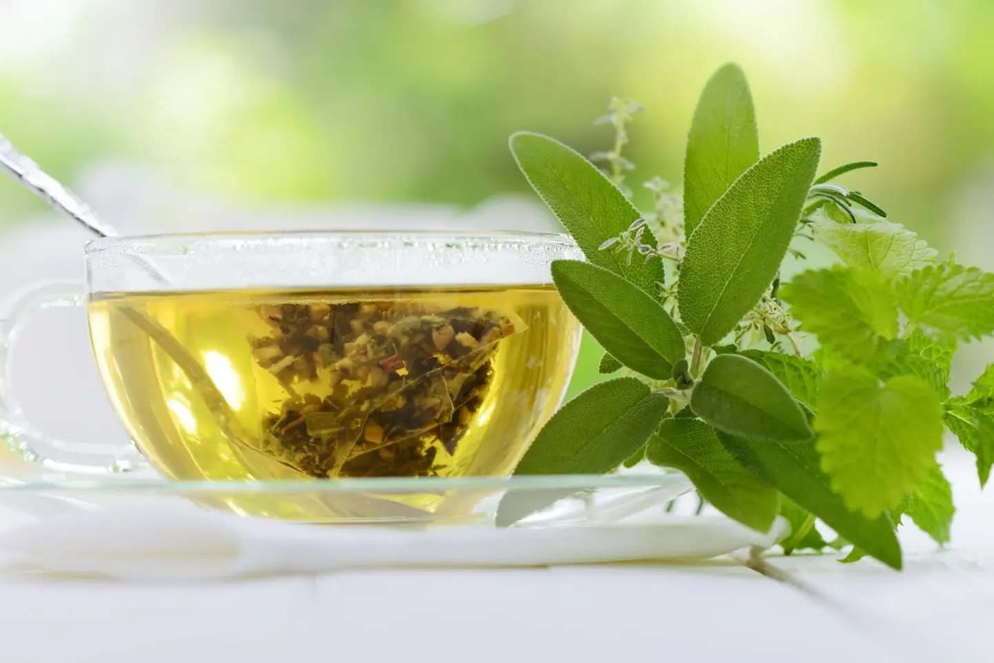 Green Tea