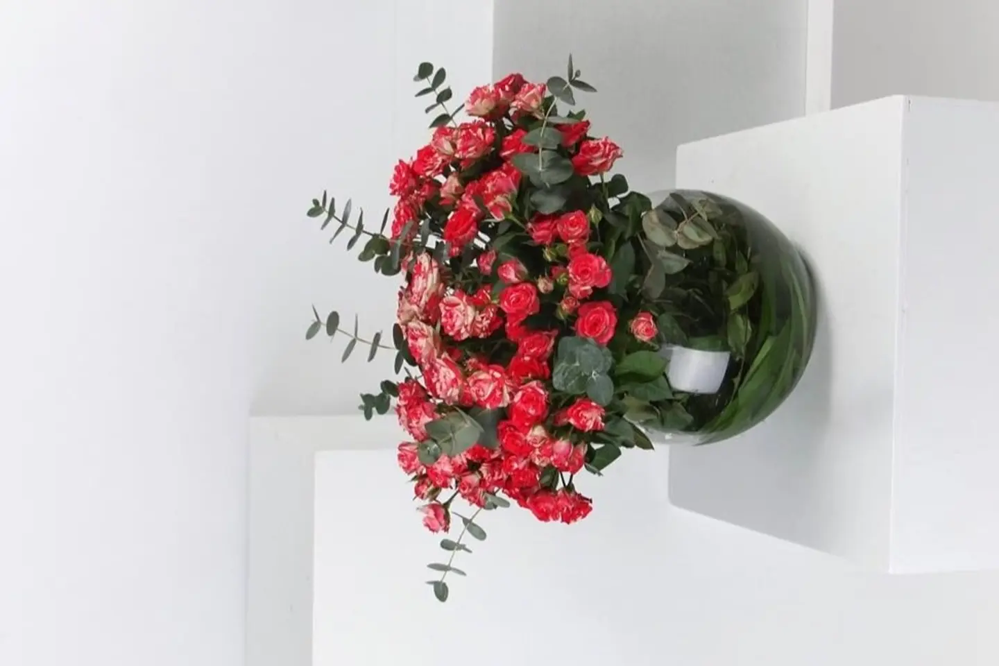 6 Red Passion