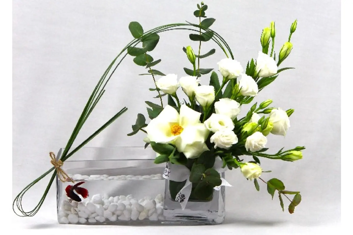 فازة سمك ٨