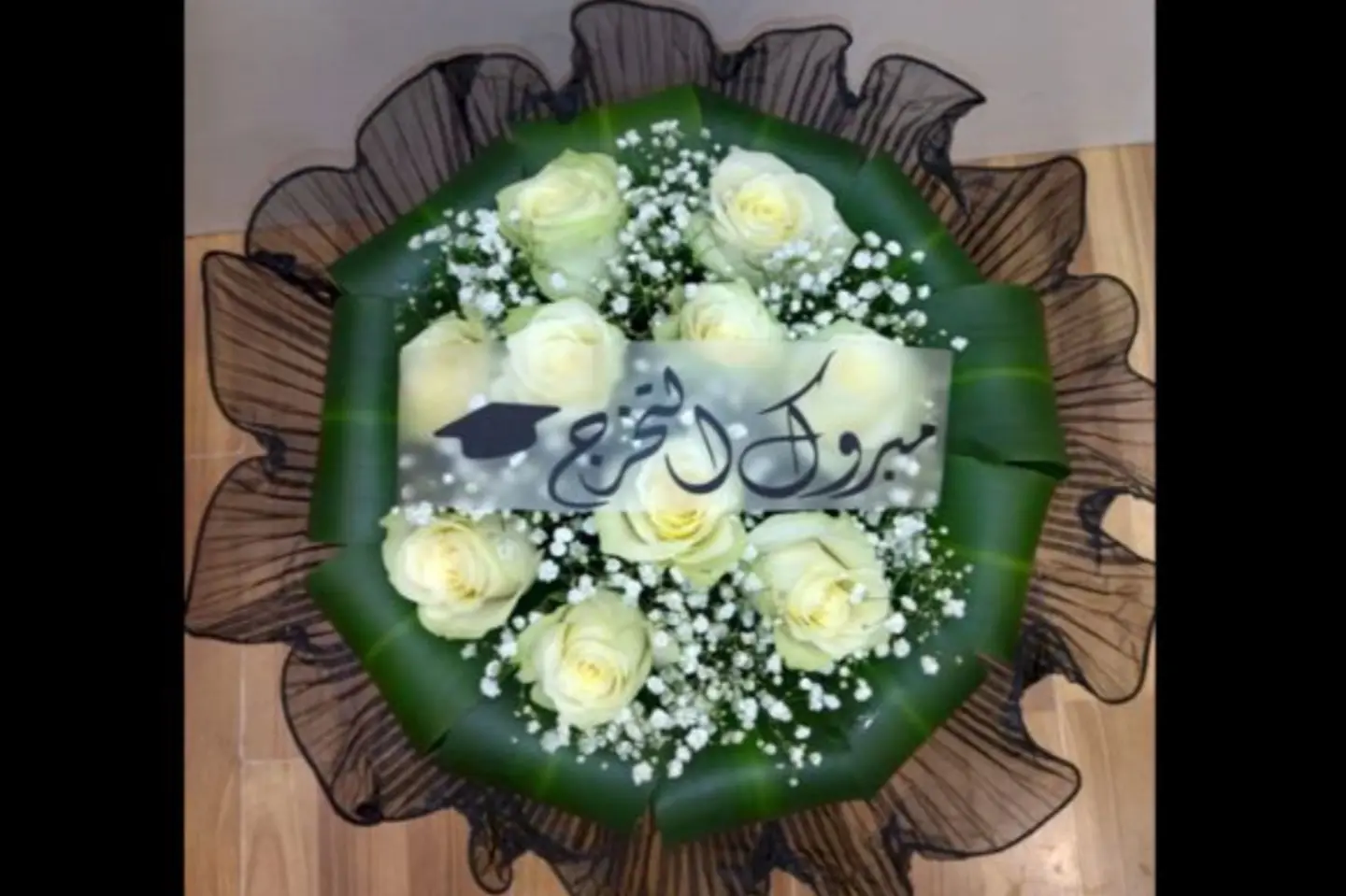 White Rose Collar Black Lace Cover
