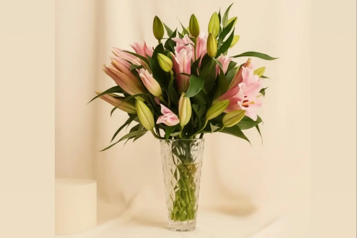 زنبق هولندا الوردي