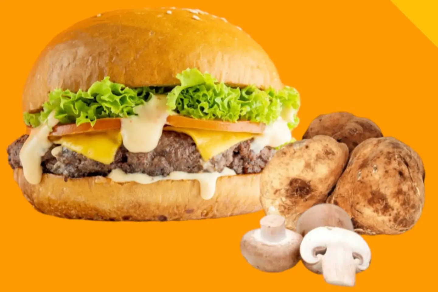 Truffle Burger