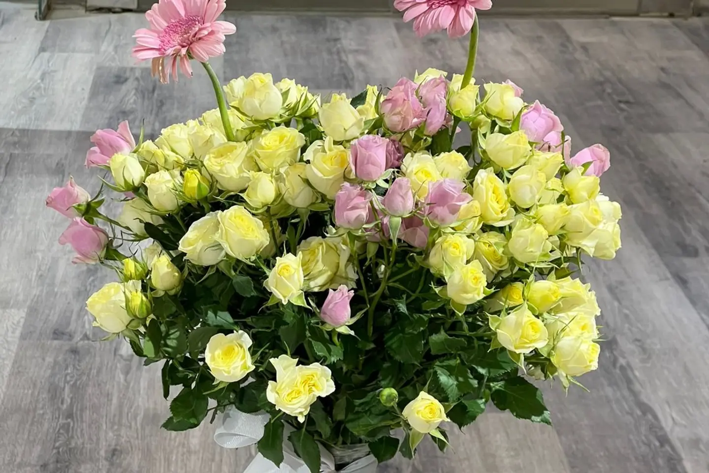 اصفر جوري مع جيبيرا بدون تغليف