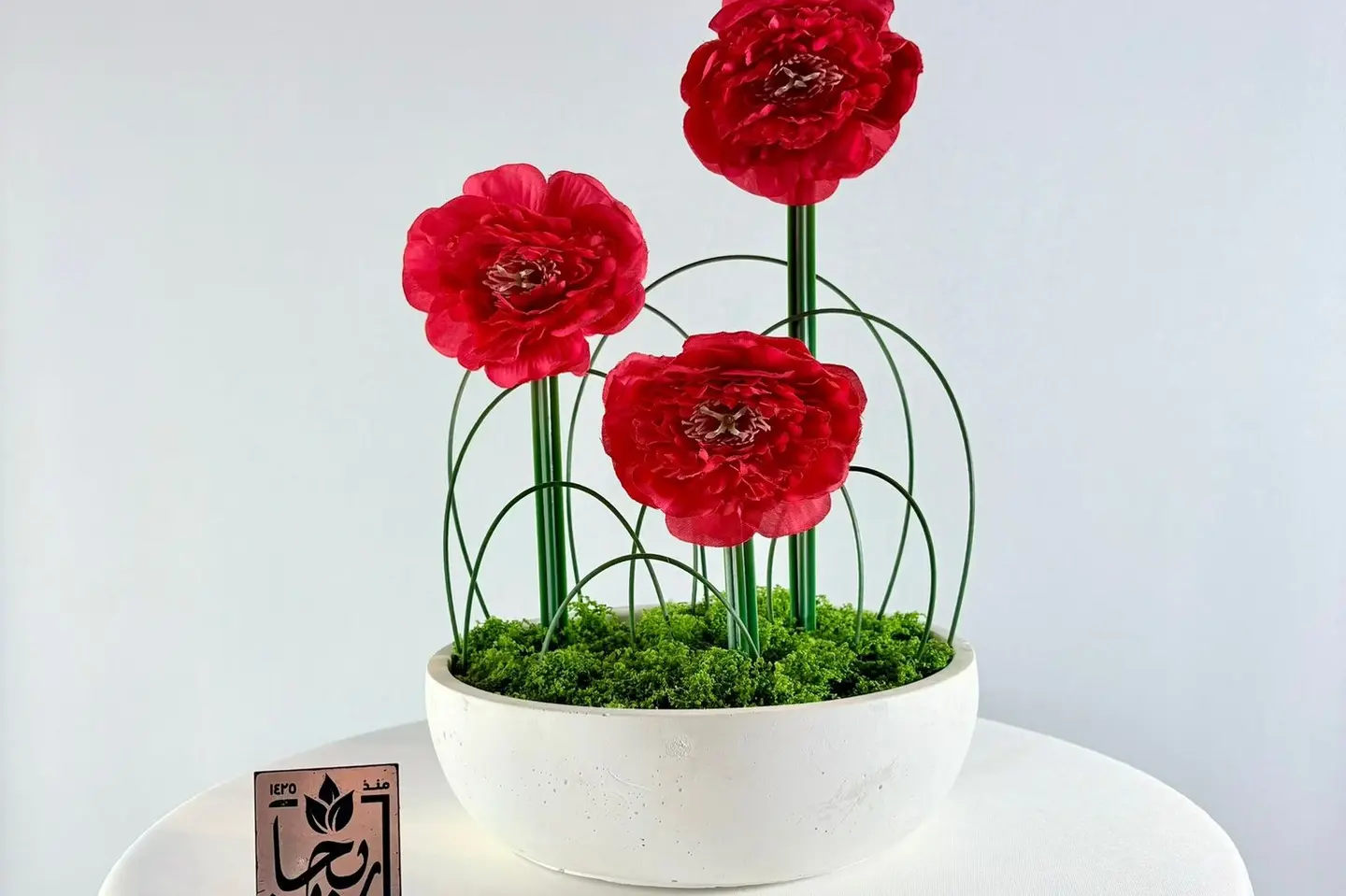 إشراق الراننكيل الأحمر