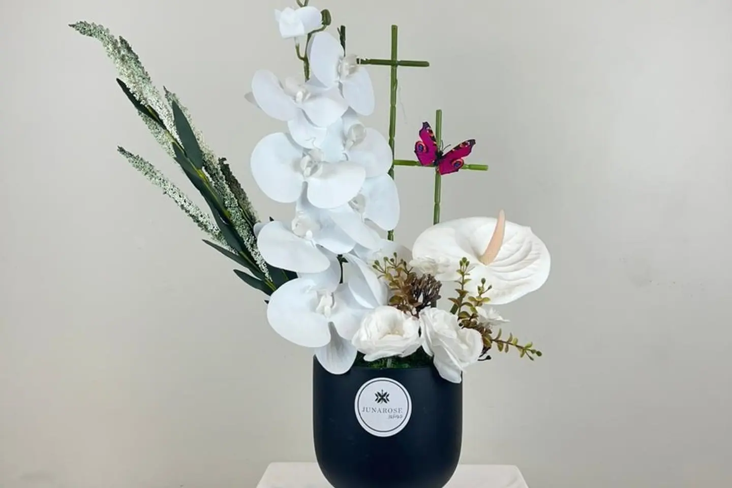 فازات جوناروز ٢١