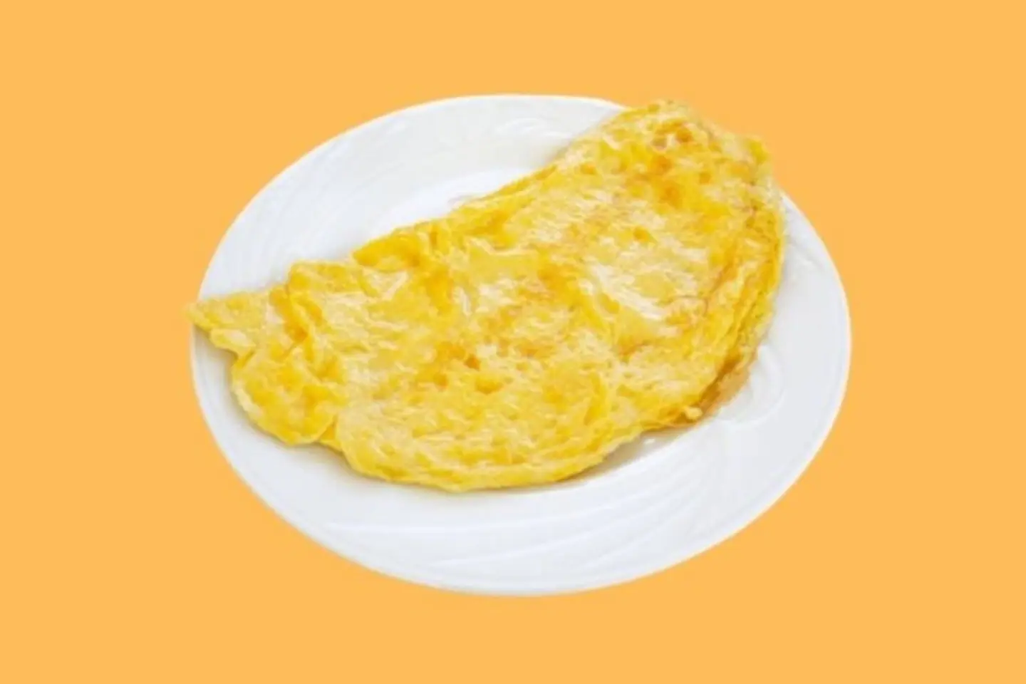 Egg Omelet