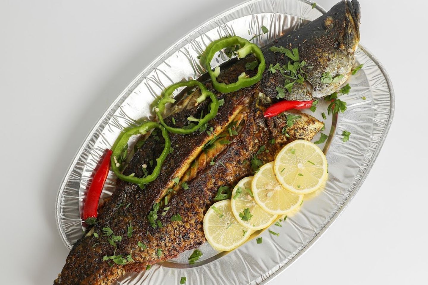 Seabass Fish