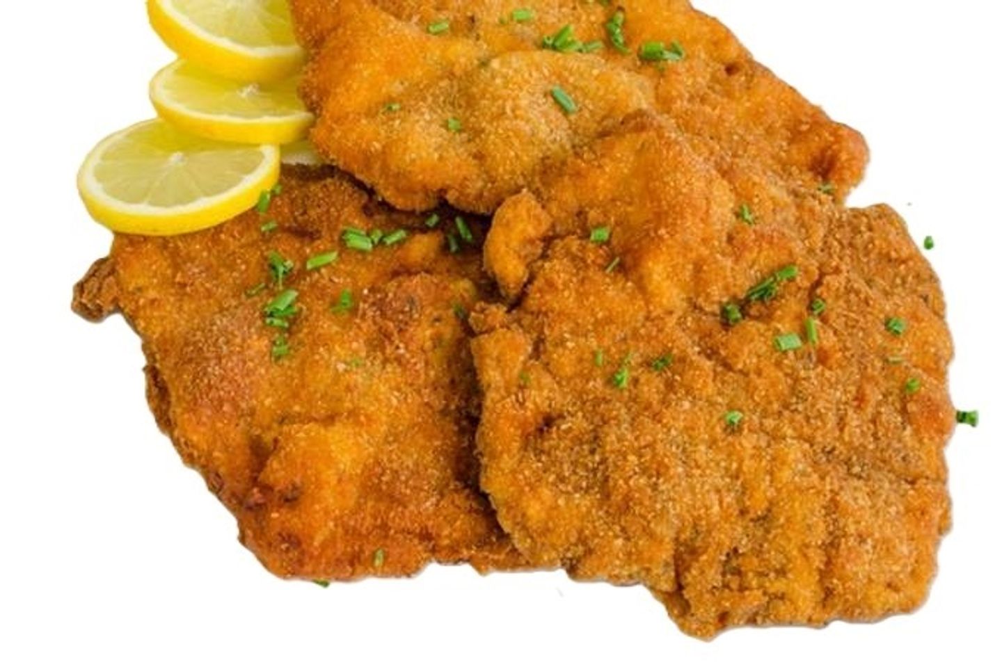 دجاج بانية
