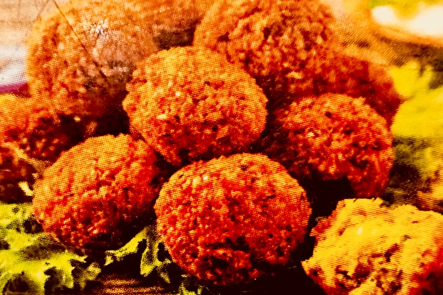 Falafil 2pcs 1 Sr