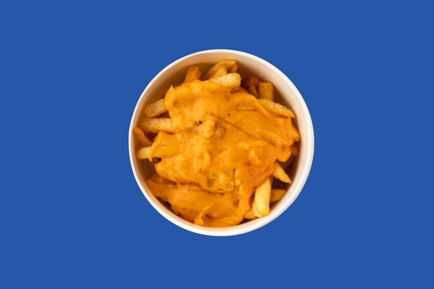 Cheese Fries