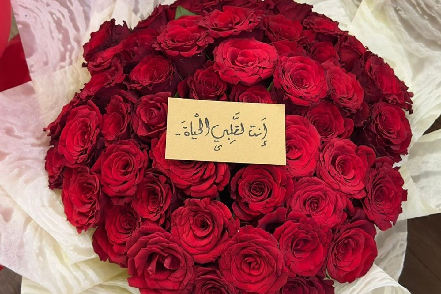 انت لقلبى حياة