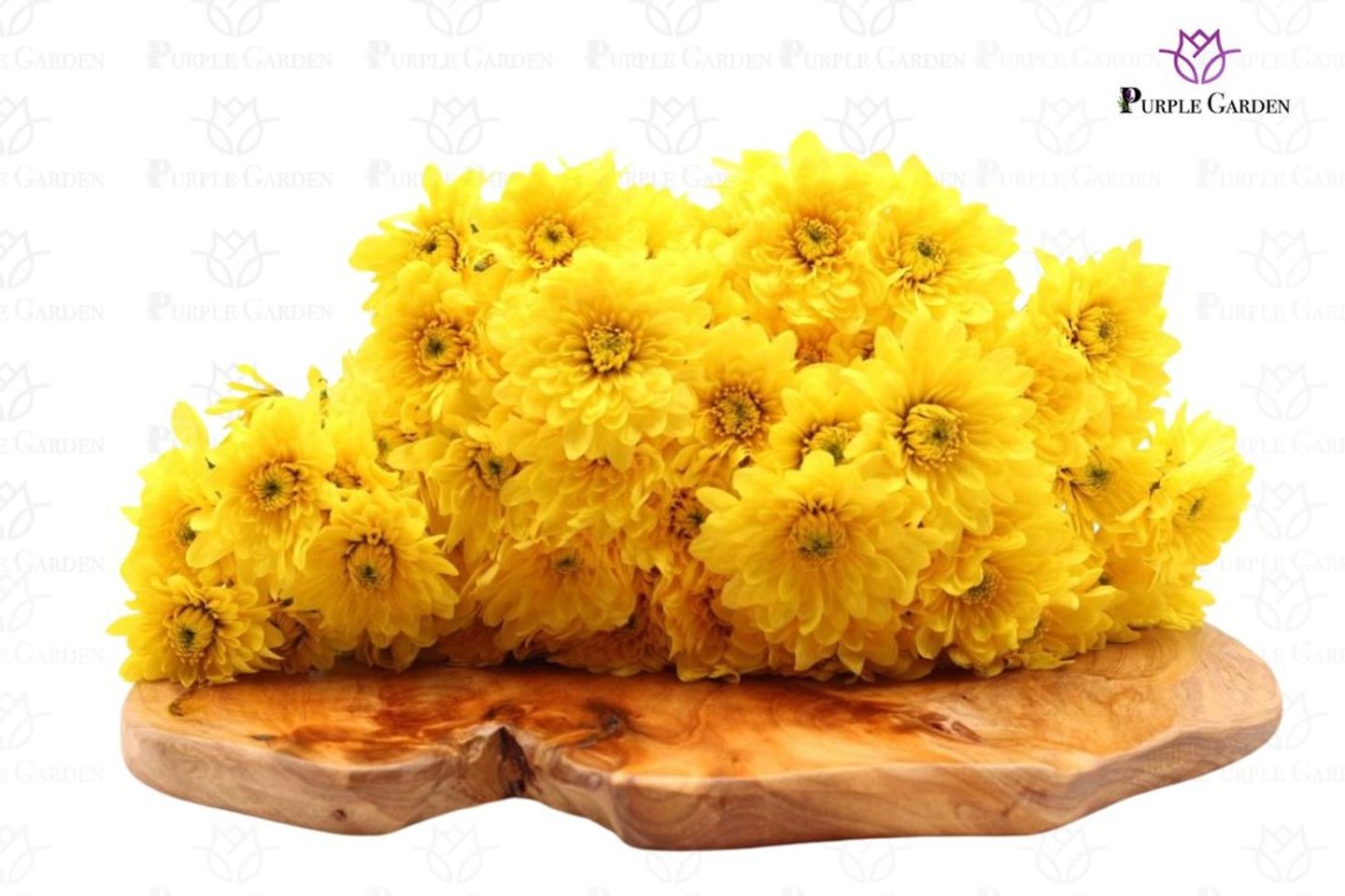 كريز اصفر