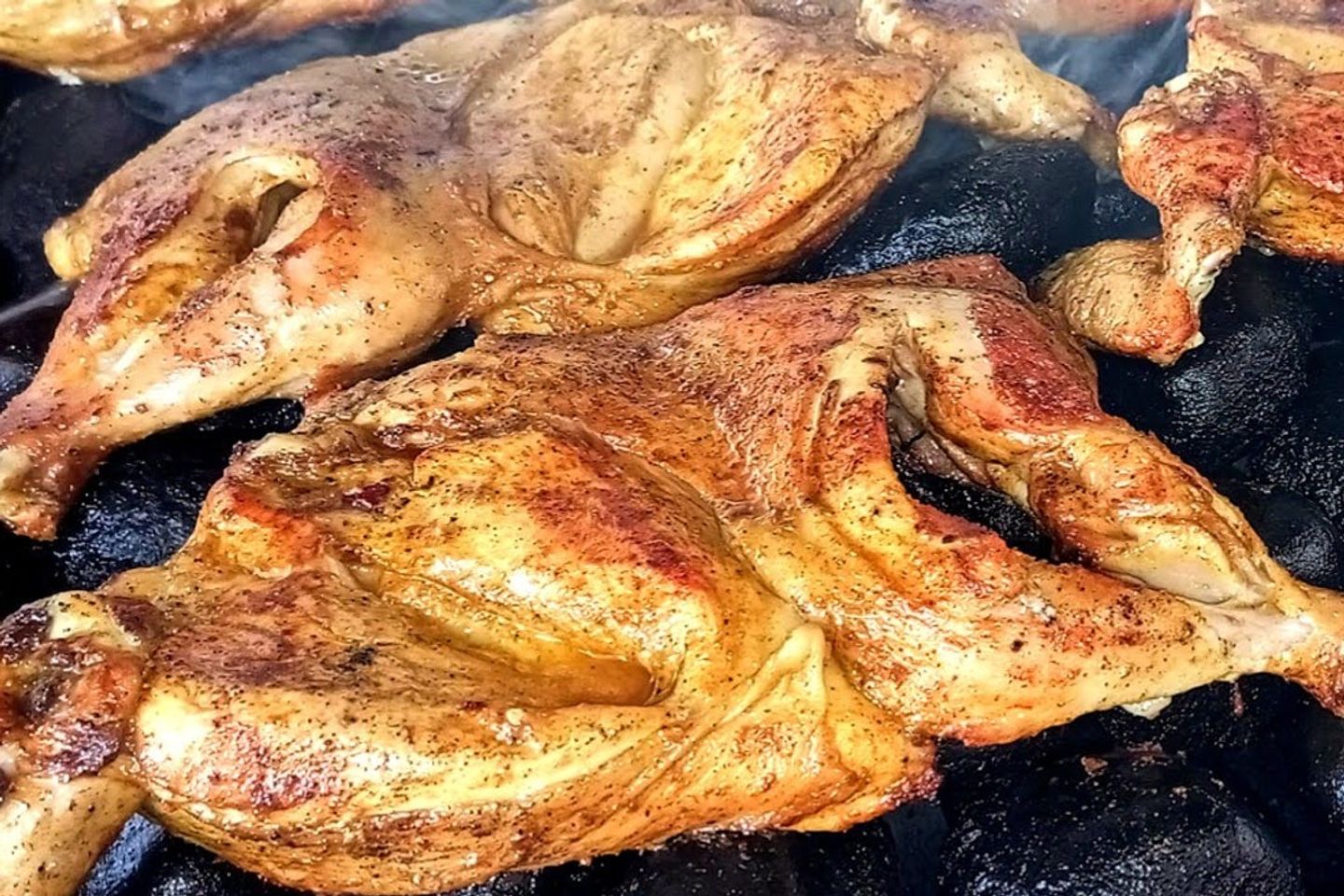 نص دجاج مظبي ساده