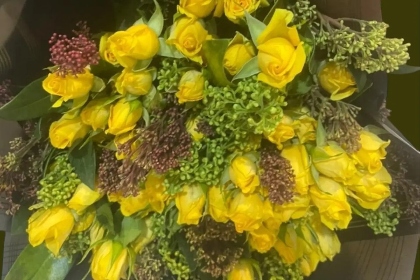 Pocket Baby Rose Alexis Juarez