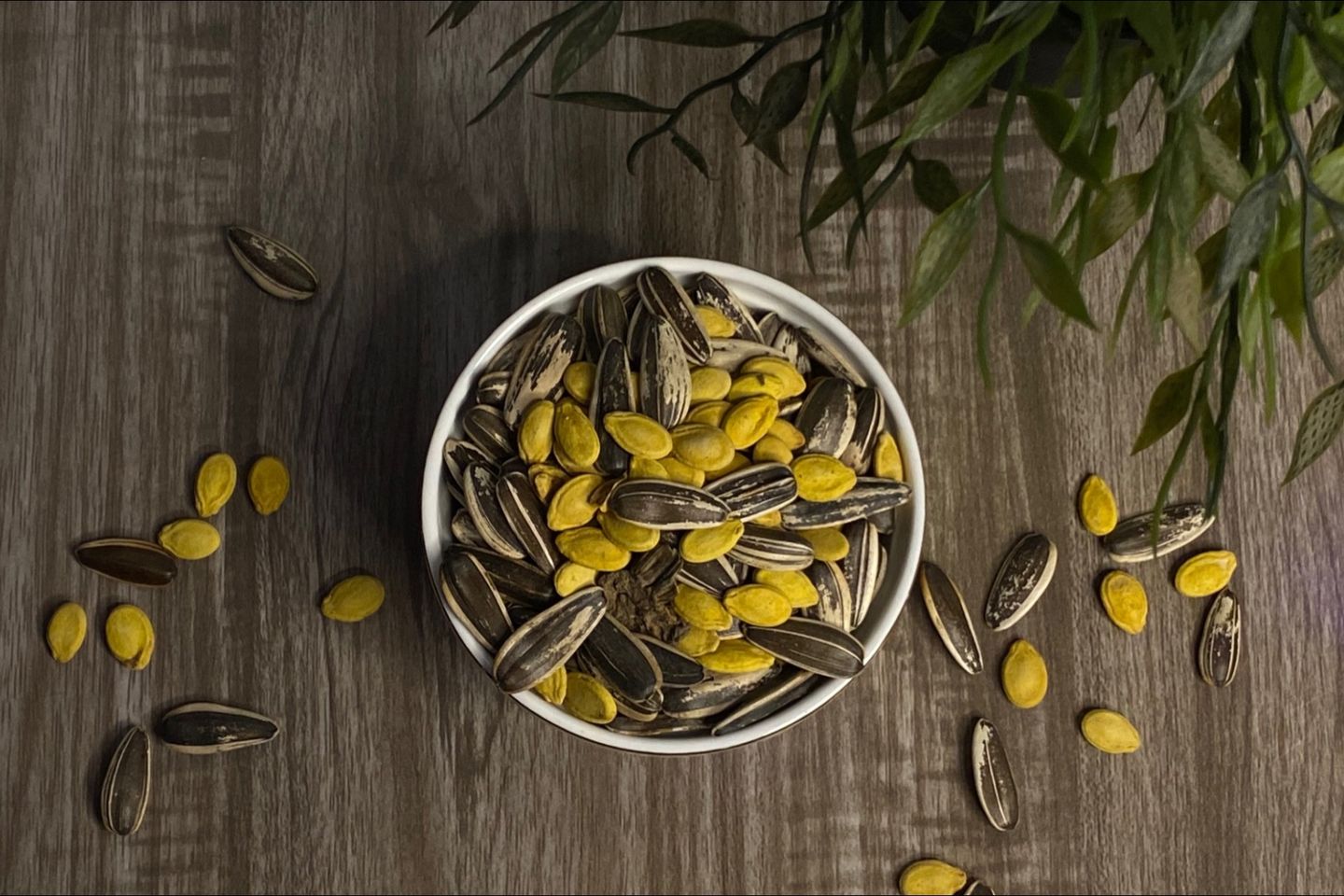 Egyptian Seeds