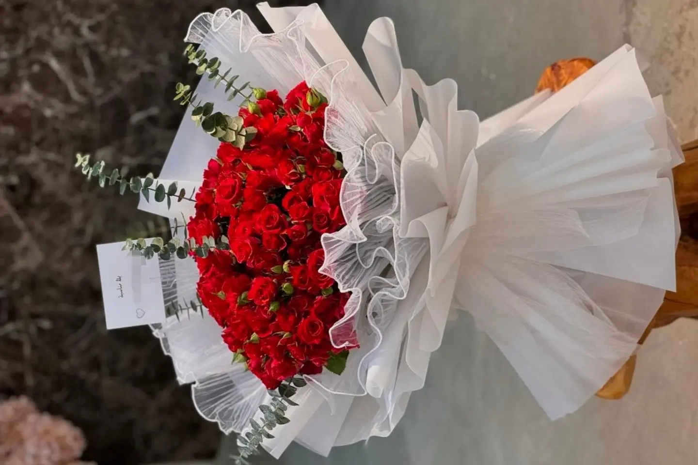 وردة و شتلة ٠٠١١٣