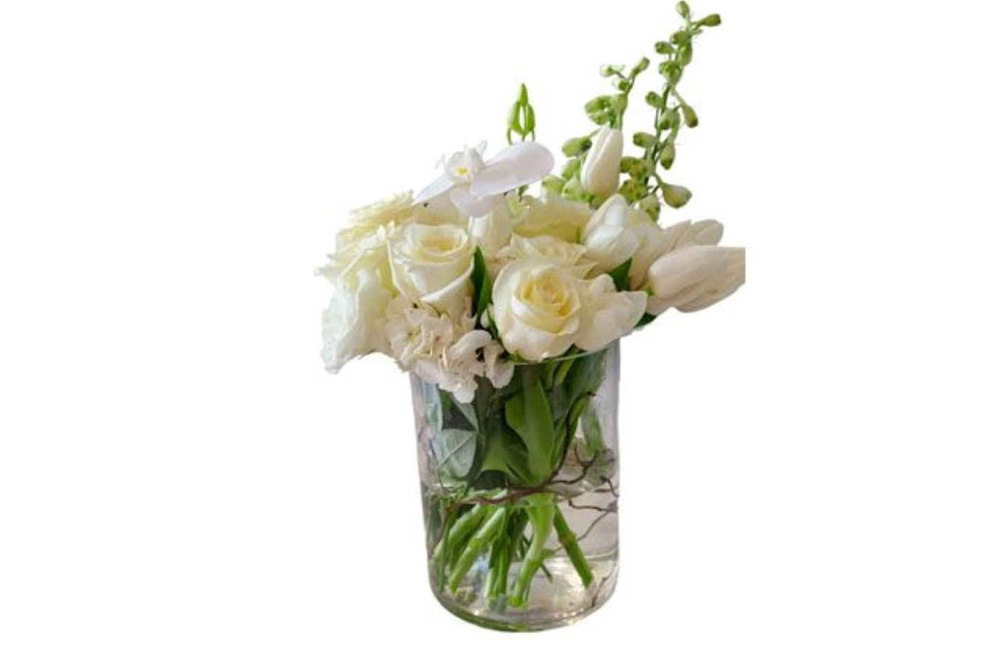 فازه الصفاء والنقاء