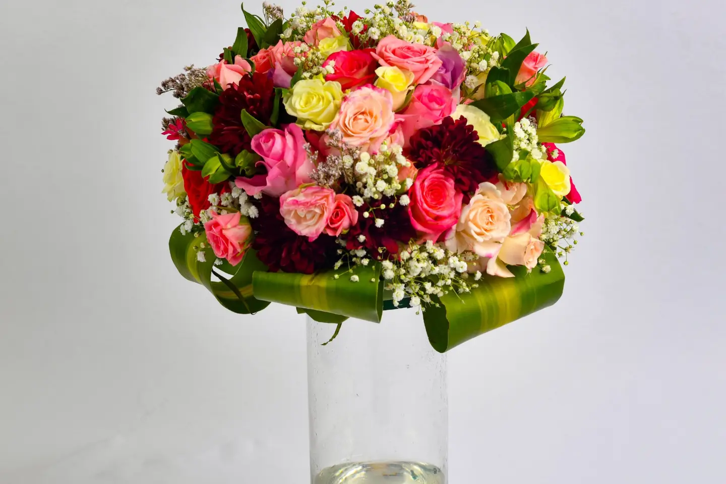 وردة و شتلة ٠٠٠١٤