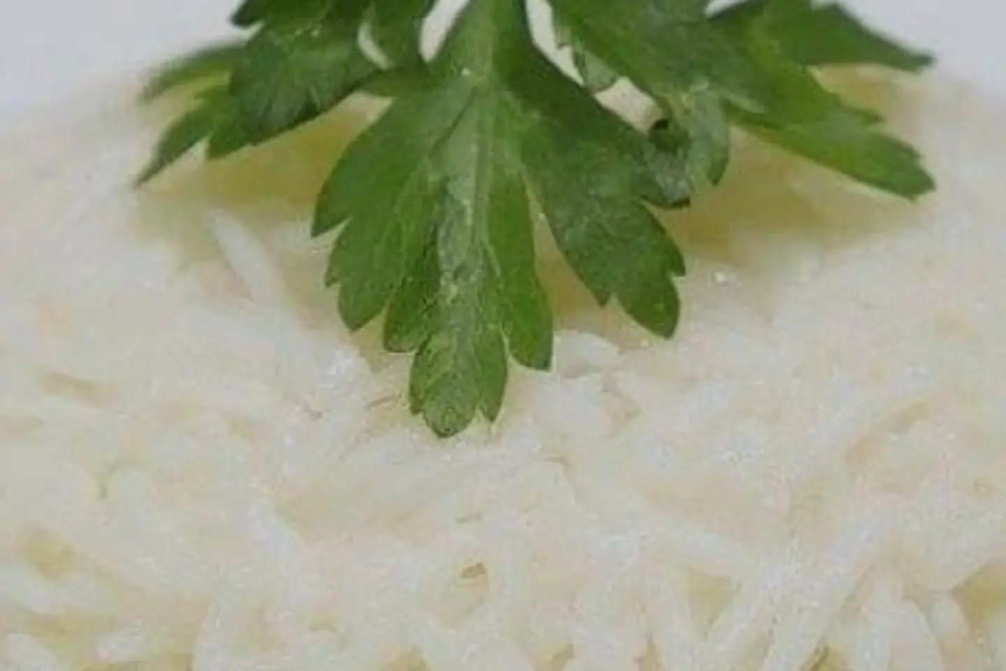 رز ابيض