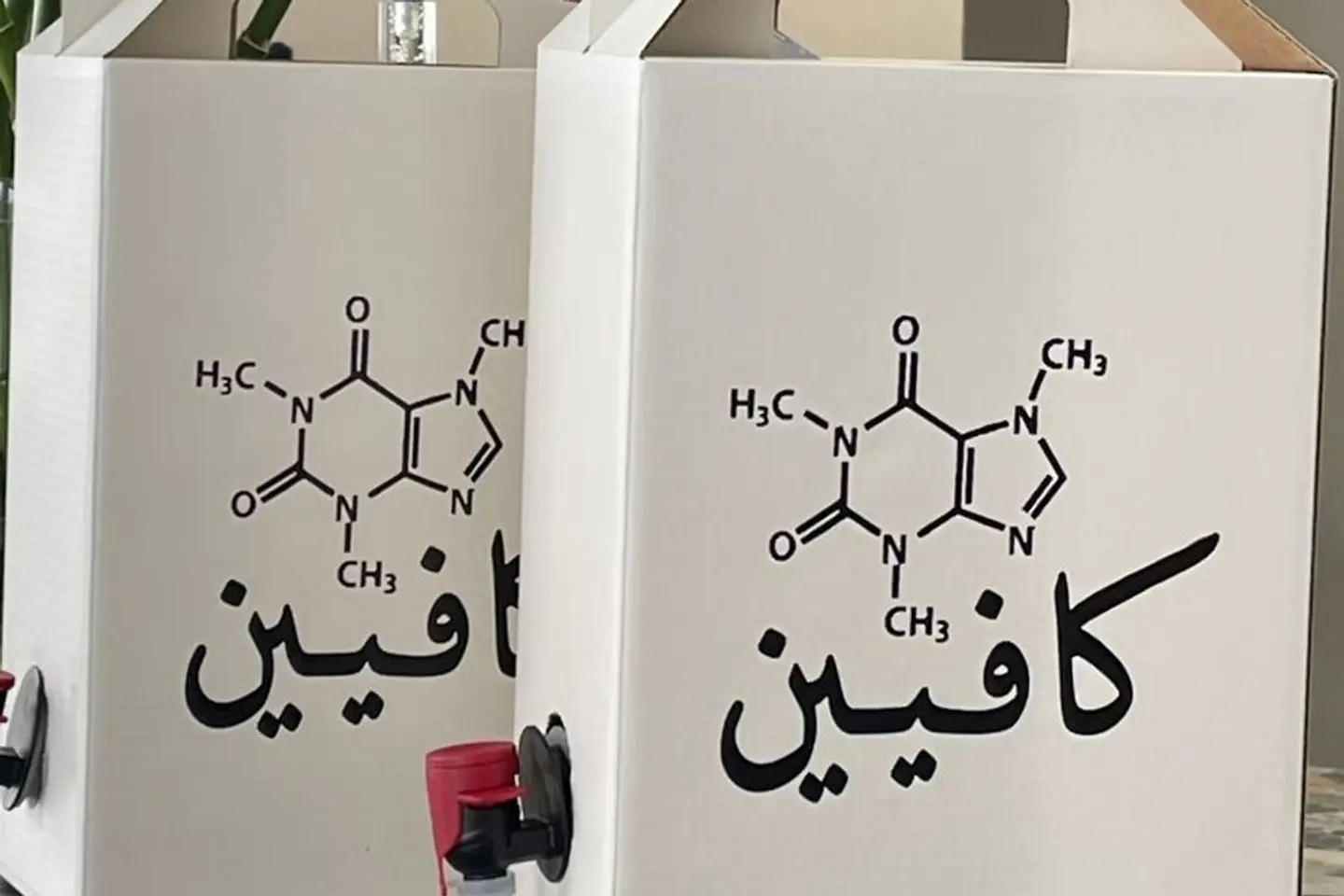 بوكس قهوة اليوم