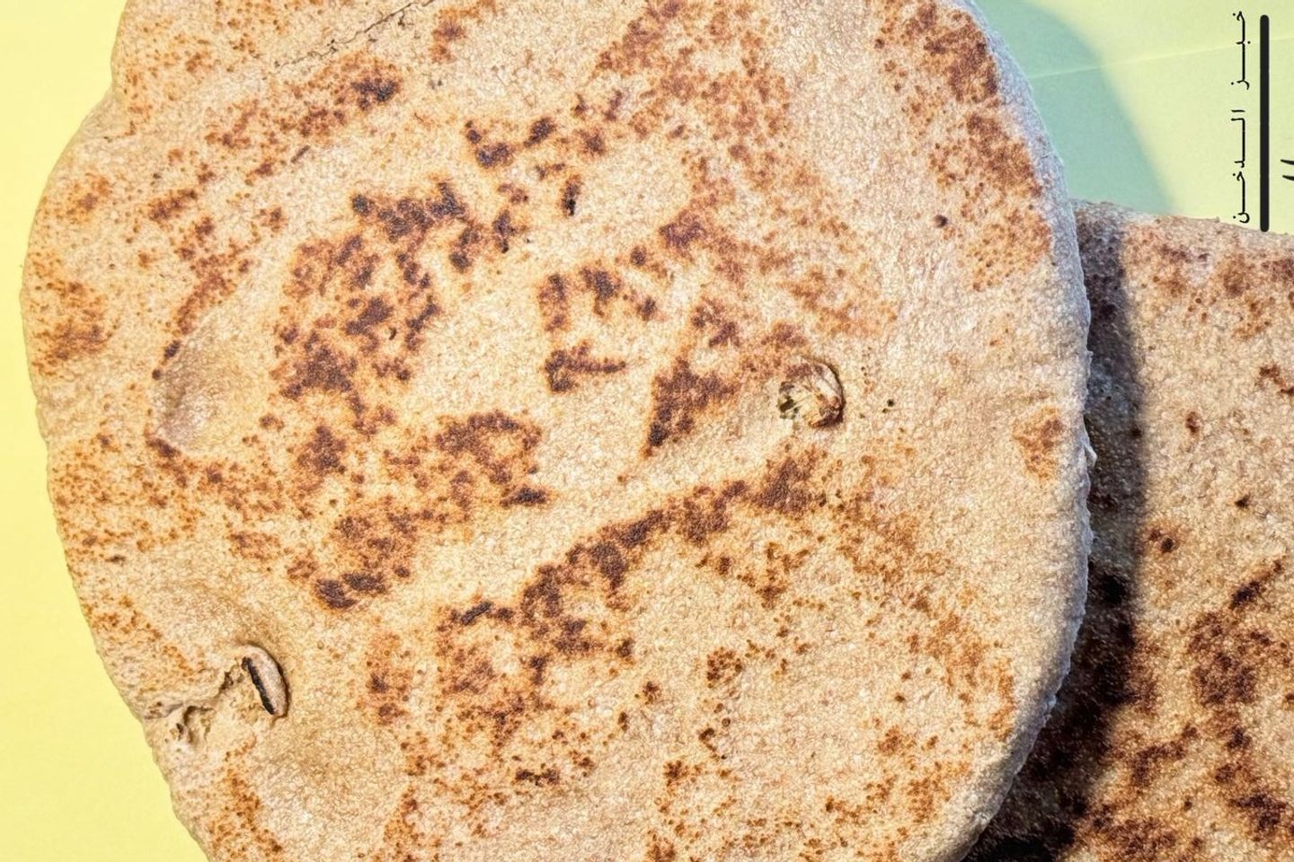 Millet Bread\\Khubz Aldukhn