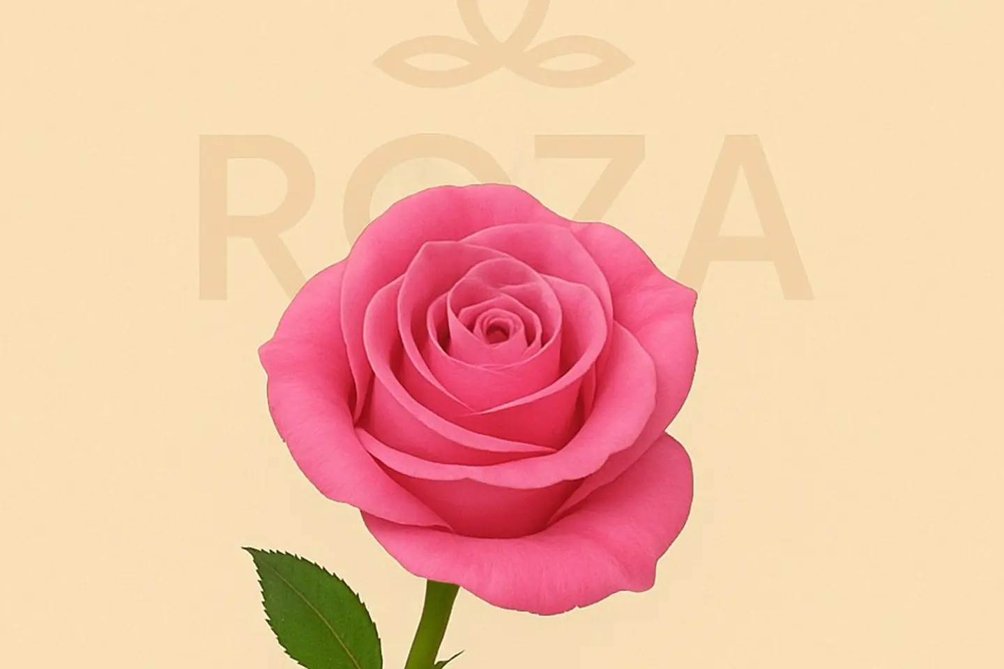 Roz Bink