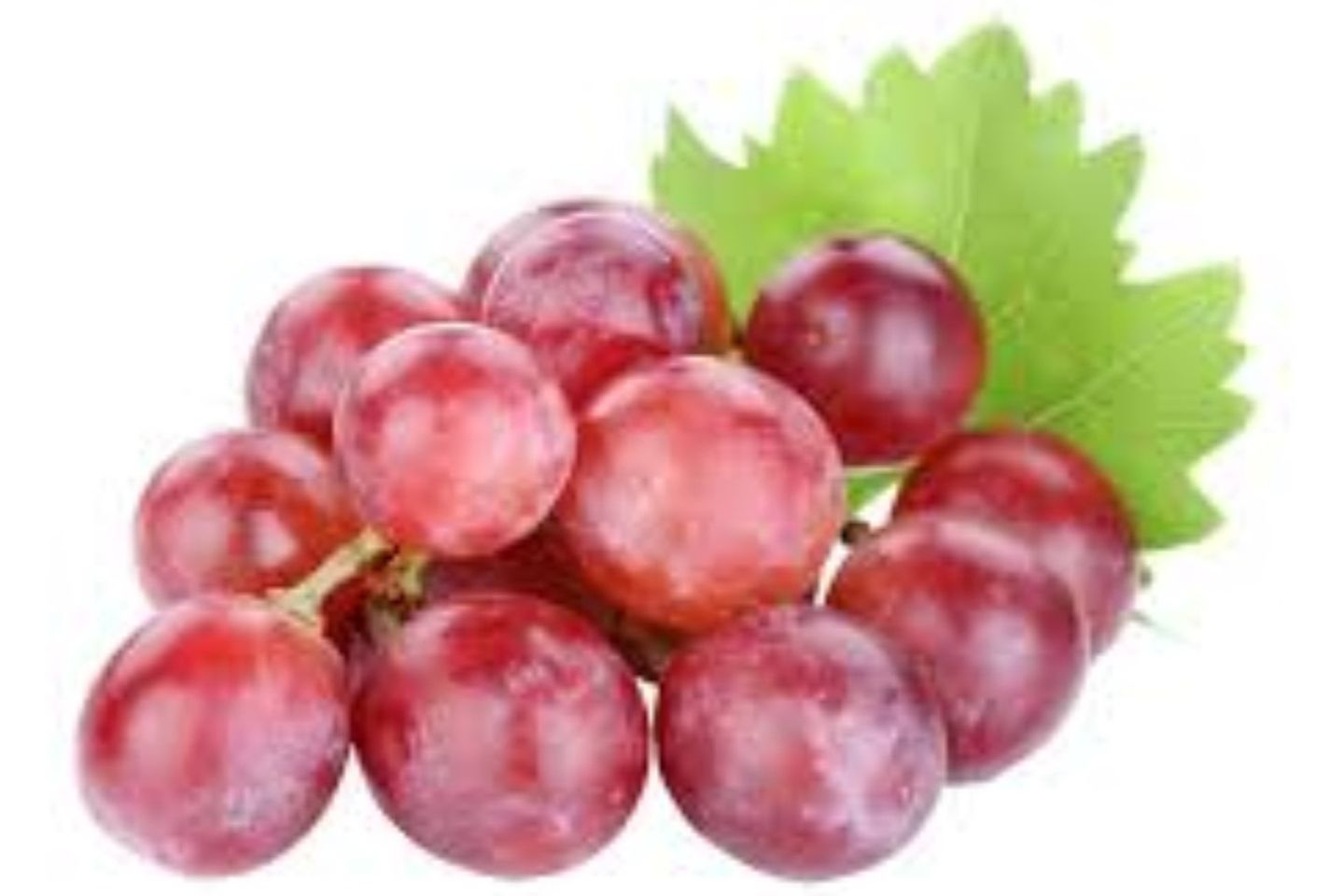 قطع عنب طازج