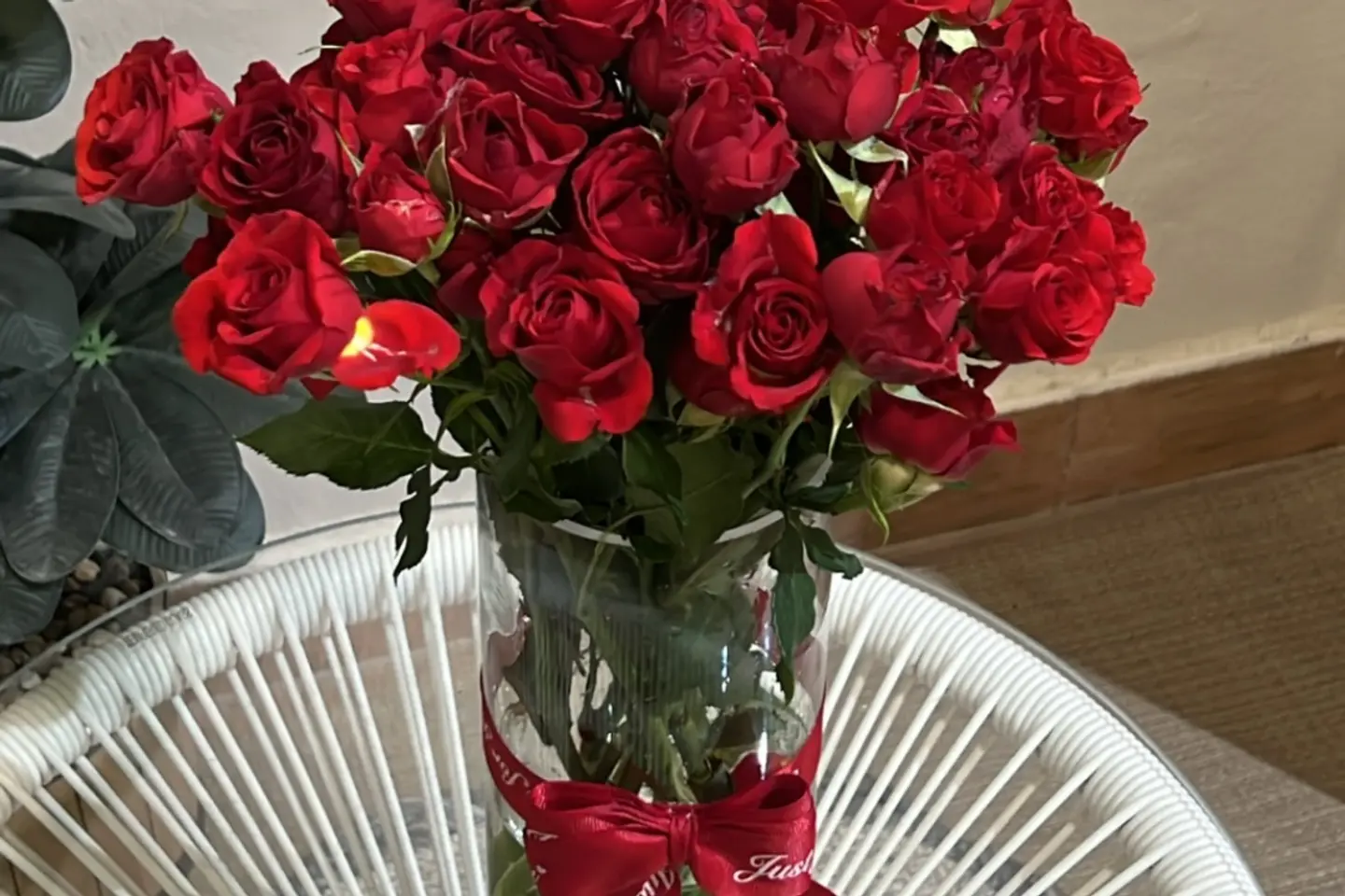 فازه ورد بيبي روز