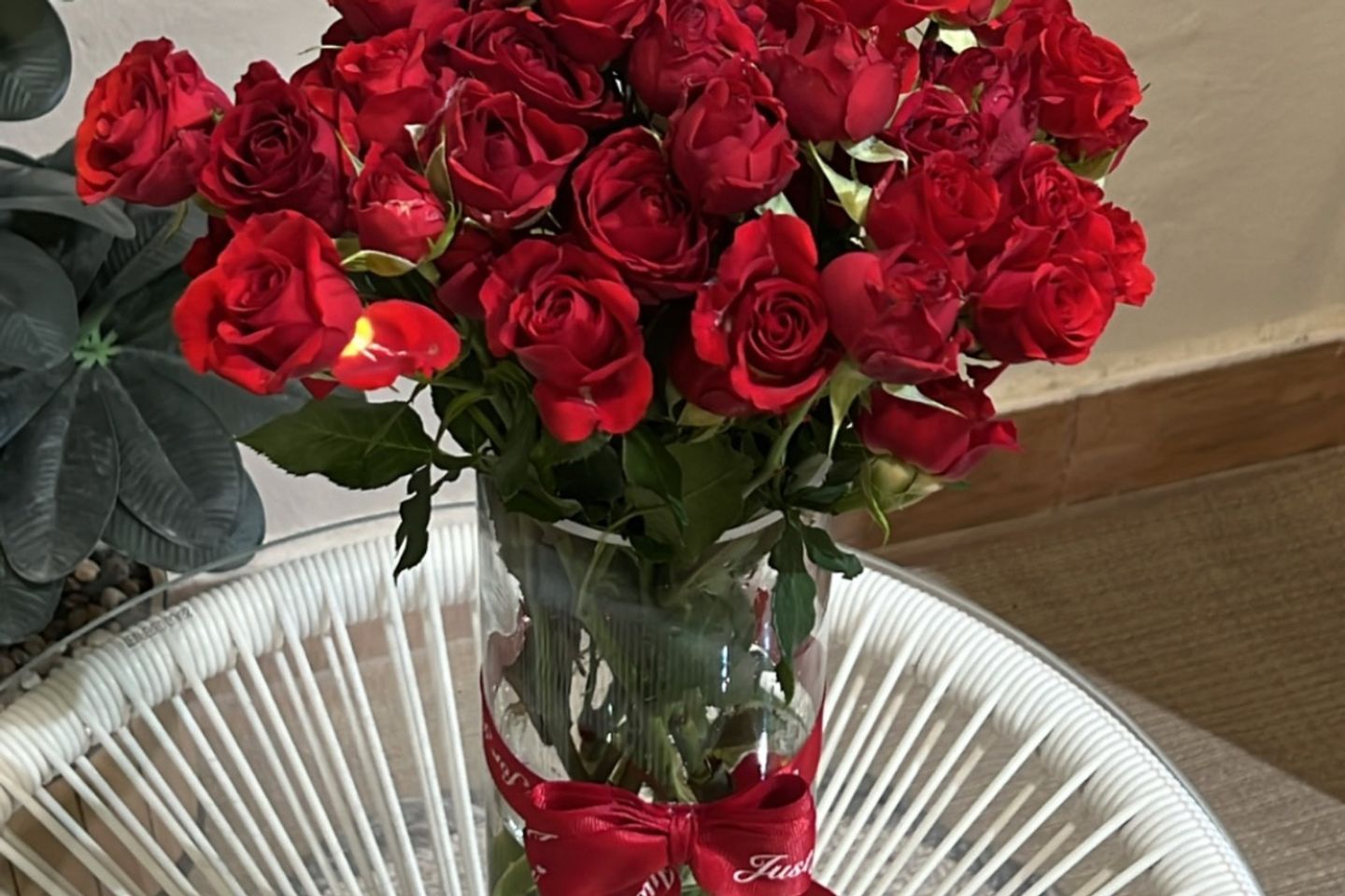 فازه ورد بيبي روز