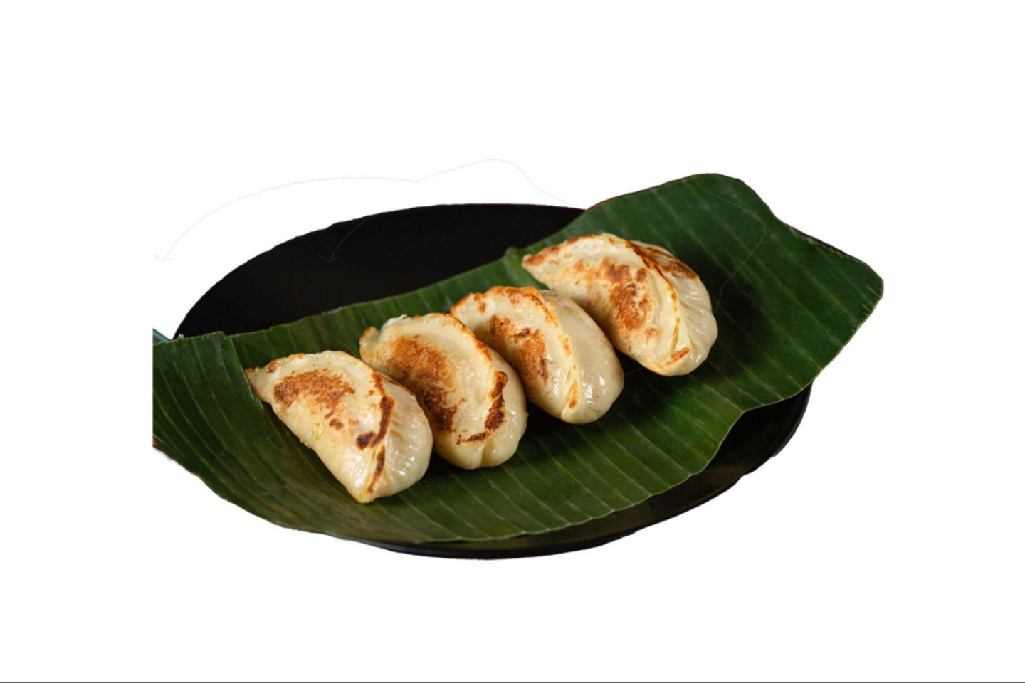 Gyoza Beef Dumpling
