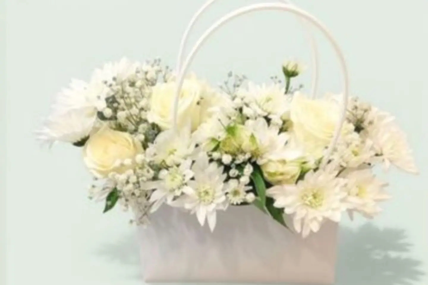 البوكس الابيض