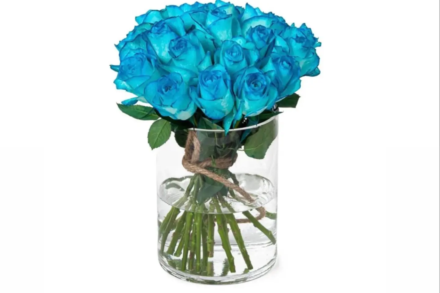 مزهرية زرقاء